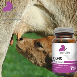 Colostrum IgG40-Najbolje za imunitet