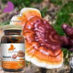 Reiši kapsule (Sličice 2)