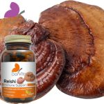 Reiši kapsule (Sličice 3)