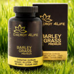 Barley Grass Premium – Ječmena trava